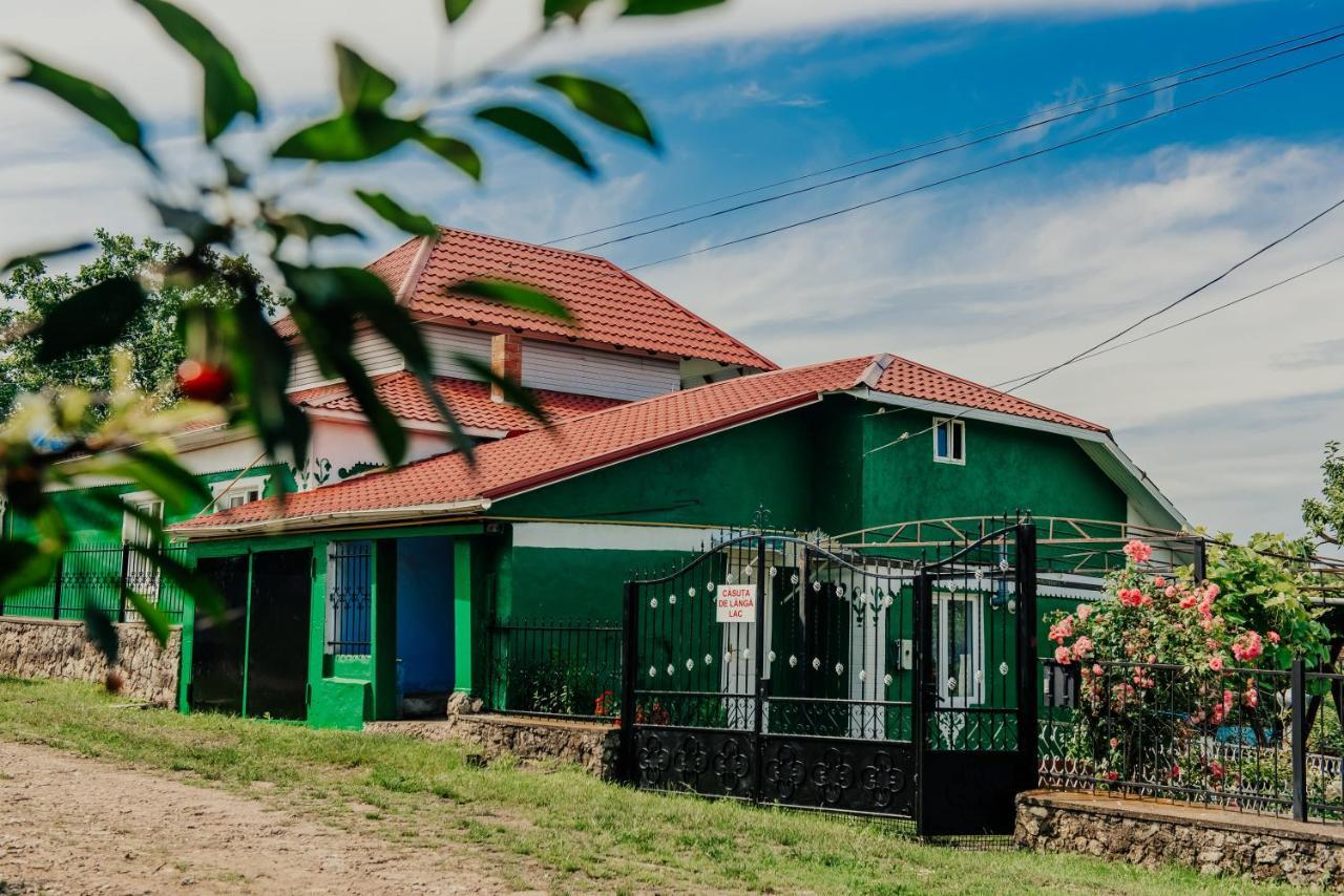 Casuta De Langa Lac Saharna Noua Exteriér fotografie