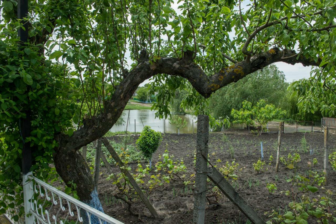 Casuta De Langa Lac Saharna Noua Exteriér fotografie